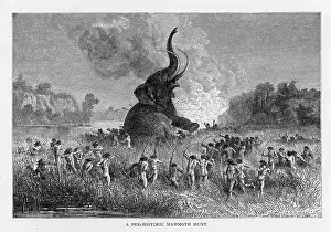 Tusks: Hunting mammoth during the Stone Age