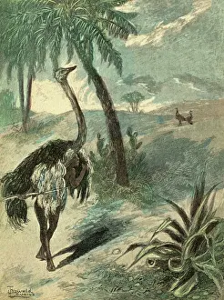 Enables: HUNTING OSTRICH