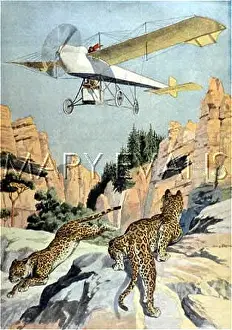 Texans: HUNTING PANTHERS FROMAIR