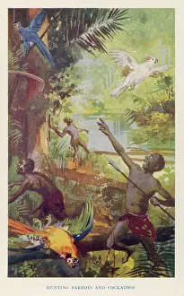 Cockatoos: HUNTING PARROTS