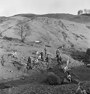 Foxhounds: Hunting Party