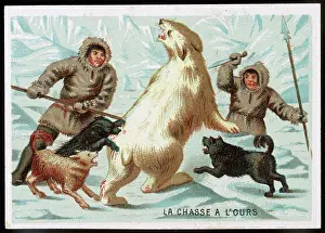 Eskimos: HUNTING A POLAR BEAR