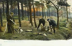 Spinney: Hunting Series (3 of 5) - Rabbit Shooting