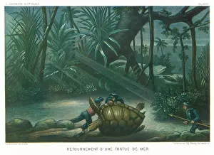 HUNTING TURTLES/1865
