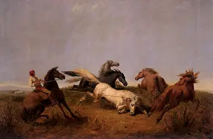 Ranney: Hunting Wild Horses