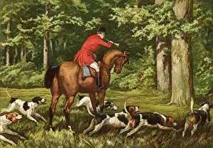 Bugle: Huntsman and Hounds