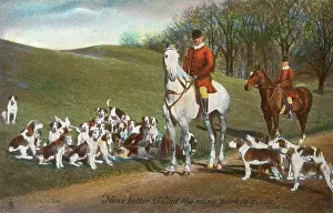 Foxhounds: Huntsman onhorseback amid the hounds