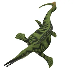 Ichthyosaur: Hupehsuchus is a marine icthyosaur that lived during the ?