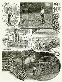 Fencing: Hurdle making