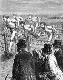 Hurdles: Hurdle race in Brompton