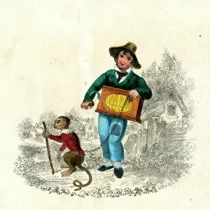 Monkeys: Hurdy Gurdy Man and Monkey