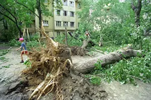 Millimeters: Hurricane aftermath in Moscow, 1998