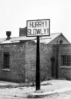 Curiously: HURRY! SLOWLY!