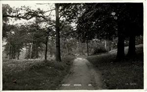 Hurst: Hurst Wood, Whitefield, Lancashire