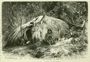 Chile: A Hut in the Forest, Cape Horn, Southern Chile