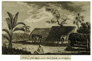 1785: Huts and Boat House, Hawaii