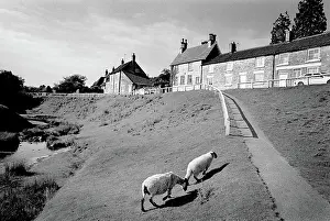 None: Hutton-le-Hole