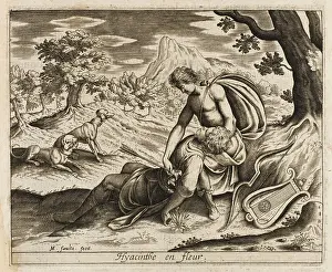 Apollos: Hyacinth Fatal Accident