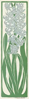 Hyacinthus: Hyacinth - Jugend 1898