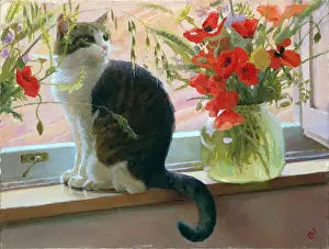 Windowsill: Hyacinth and Poppies ' cat on windowsill