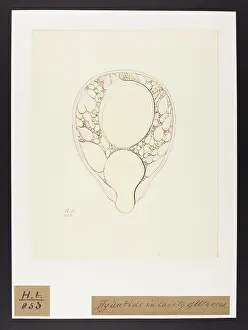 Hydatids: Hydatids: Cavity of Uterus