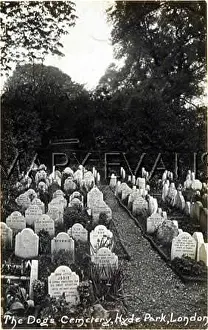 Originality: HYDE PARK DOG CEMETERY 1