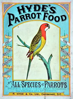 Parrots: Hyde's Parrot Food