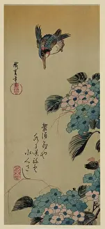 Hydrangea: Hydrangea and Kingfisher