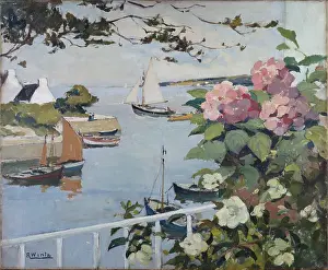 Hydrangeas: Hydrangeas on balcony overlooking harbour