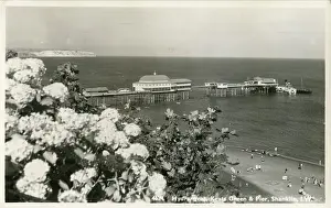Terry Parker: Hydrangeas, Keats Garden and Pier, Shanklin, Isle of Wight