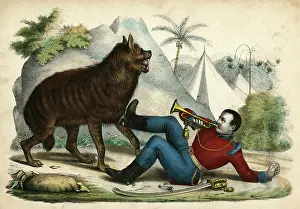 Hyena: HYENA / SENTRY CALL 1845