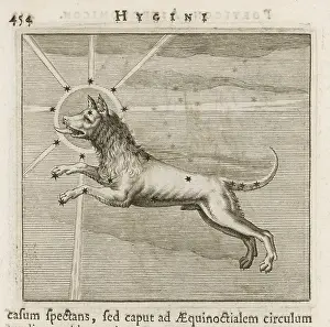 Hyginus: HYGINUS / CANIS MAJOR