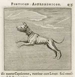 Hyginus: HYGINUS / CANIS MINOR