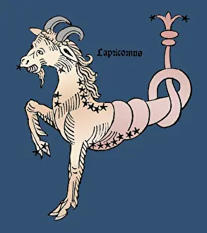 Poeticon: Hyginus, Capricorn Constellation, Zodiac Sign, 1482