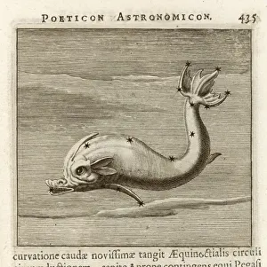 Hyginus: HYGINUS / DELPHIN