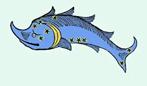 Poeticon: Hyginus, Delphinus Constellation, 1482