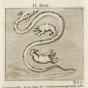 Hyginus: HYGINUS / DRACO
