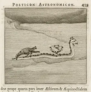 Hydra: HYGINUS / HYDRA