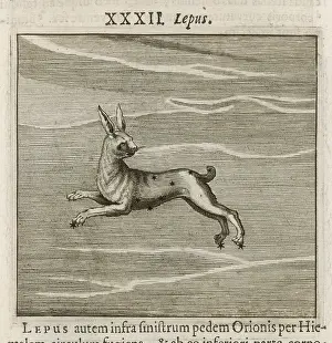 Hyginus: HYGINUS / LEPUS