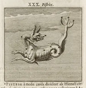 Hyginus: HYGINUS / PISTRIX