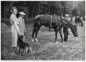 Cicely: Hyperion in the Paddock