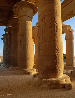 Setepenre: Hypostyle hall, Ramesseum, Theban Necropolis