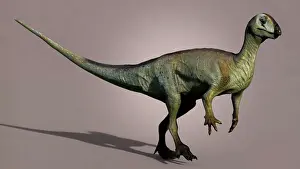 Hypsilophodon: Hypsilophodon dinosaur on colored background