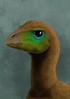Pupil: Hypsilophodon dinosaur portrait