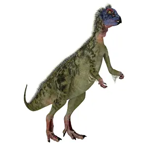 Rearing: Hypsilophodon dinosaur, side view on white background