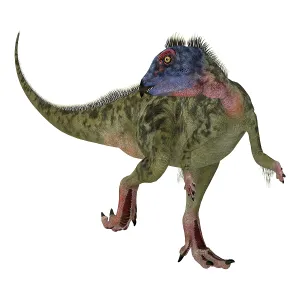 Hypsilophodon: Hypsilophodon dinosaur on white background