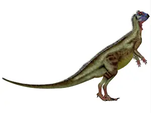 Hypsilophodon: Hypsilophodon is an omnivorous dinosaur that lived during ?