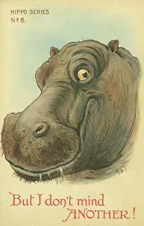 Nister: Hippo
