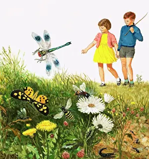 Ants: i for insects