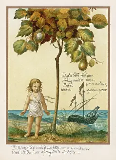 Nutmeg: I HAD A LITTLE NUT TREE